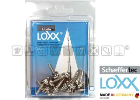 10 SELF TAPPING SREWS LOXX-TENAX BLISTER